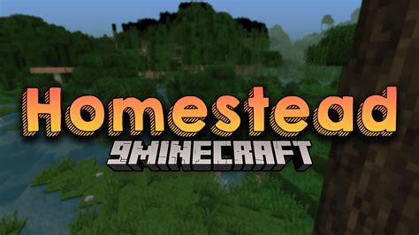 Homestead witch modpack